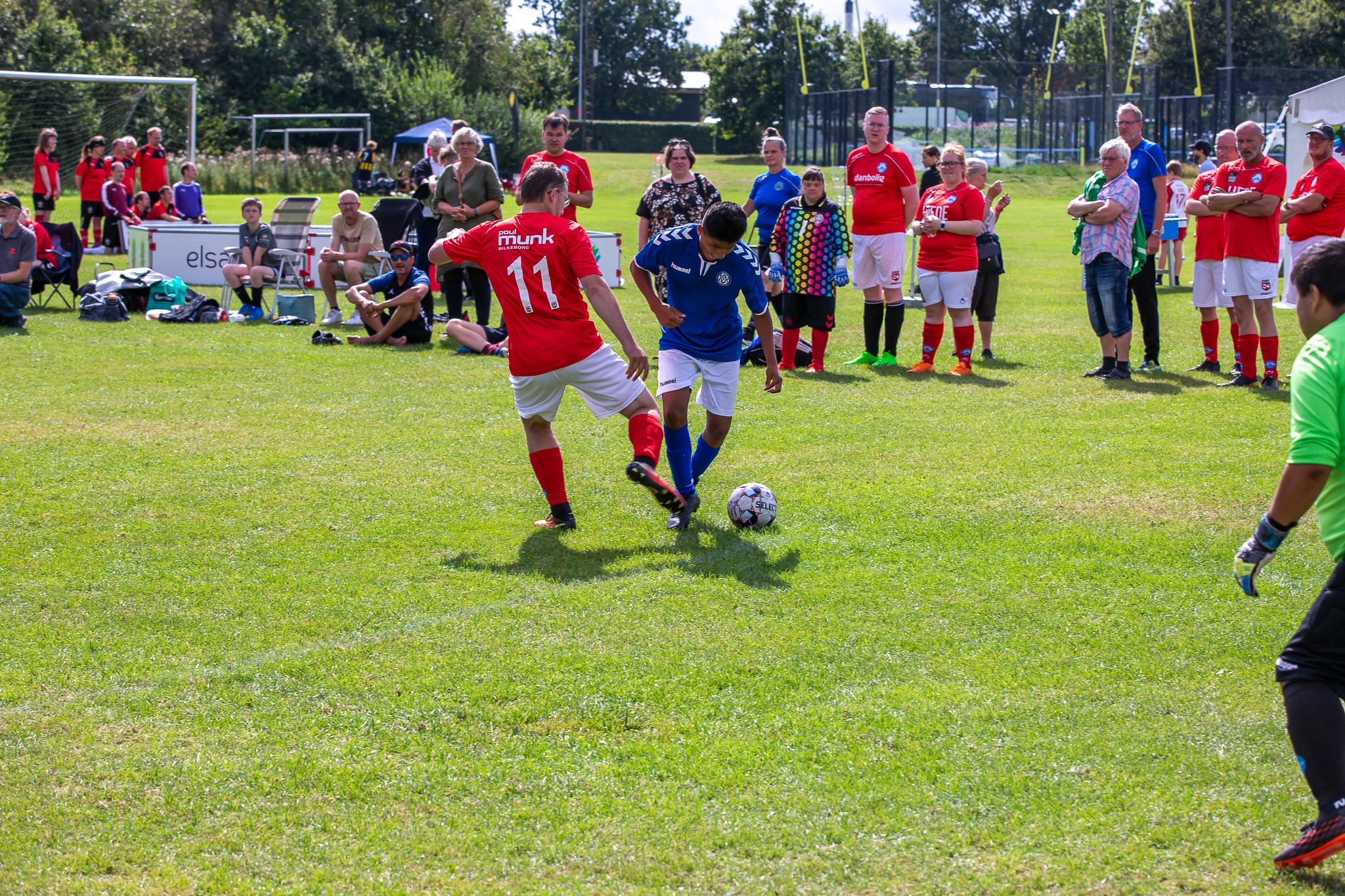 Sommerbold og sammenhold